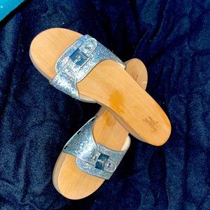 J. Crew clog sandals silver glittery shoes Dr Scholl